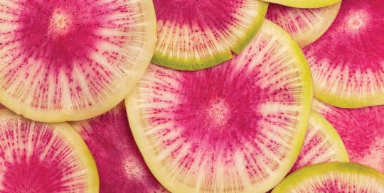 Slices of watermelon radish, with vivid pink centers and green edges, are artfully arranged in a layered pattern, offering a visually appealing dish that comes straight from Food Advisory Insights. - Matrix Sciences